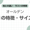 オールデン981記事のアイキャッチ