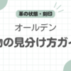 オールデン偽物見分け方記事のアイキャッチ