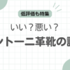 サントーニ革靴の評価記事アイキャッチ