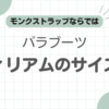 パラブーツウィリアムサイズ感記事のアイキャッチ
