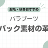 パラブーツヌバック記事のアイキャッチ