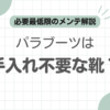 パラブーツ手入れしない記事のアイキャッチ