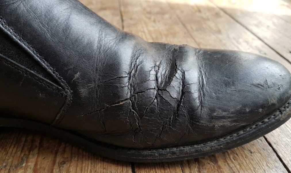 雨に強いシャンボードやミカエルも乾燥には弱い