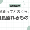 革靴身長盛れるのアイキャッチ