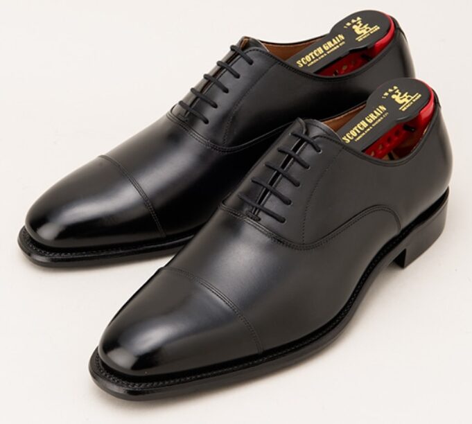 オデッサやアシュランスのモデル別特徴